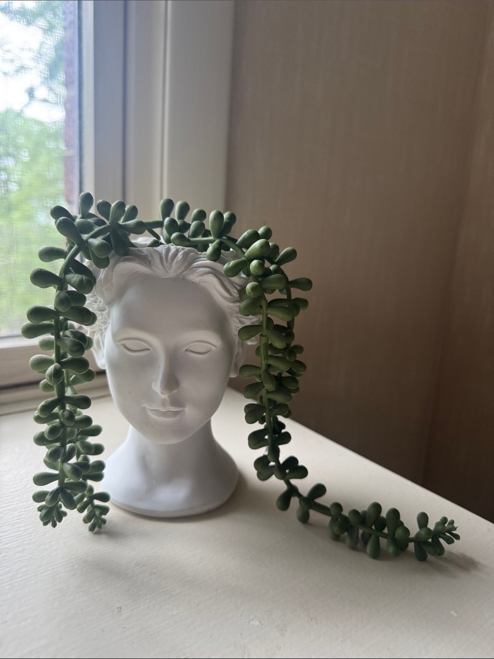 Faux Green Hanging Succulent